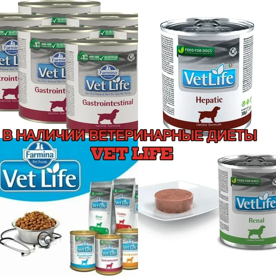 🐾 Farmina Vet Life: лечебные диеты для питомцев с особыми потребностями 🐾