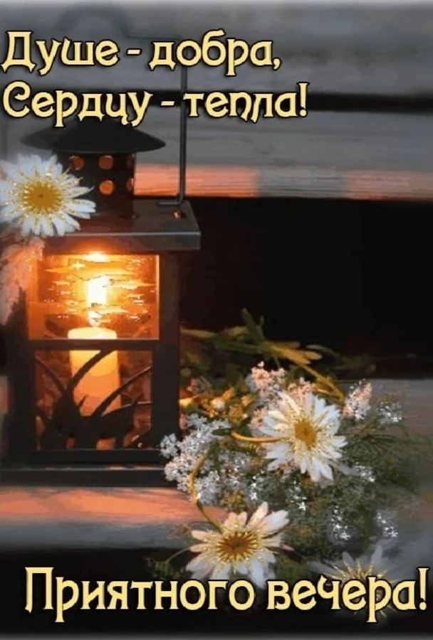 Добрый вечер!✨