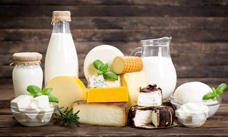 Почему кисломолочные продукты полезно есть каждый день?