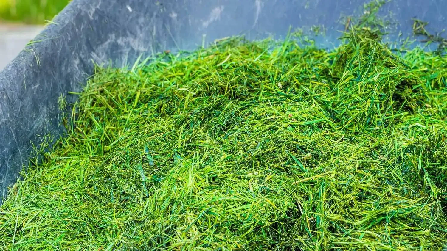 🌱 Как использовать скошенную траву

📌Летом трава и газон активно растет на участке. Поэтому остает