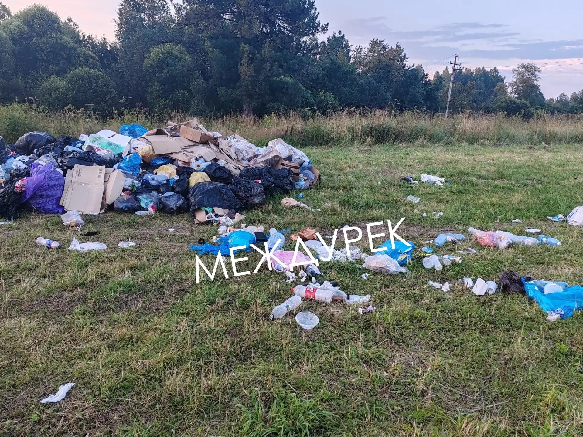Уважаемые организаторы фест Междурек и Администрация города! Неделя уже прошла с окончания мероприят