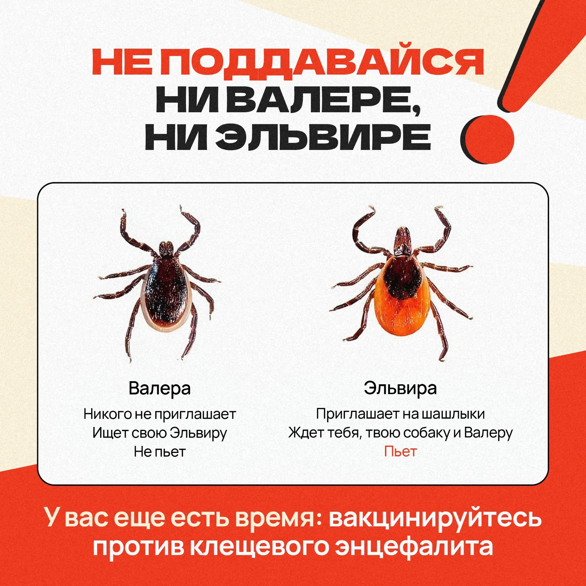 📍 В Свердловскую область поступило свыше 96 тысяч доз вакцины от клещевого энцефалита ...