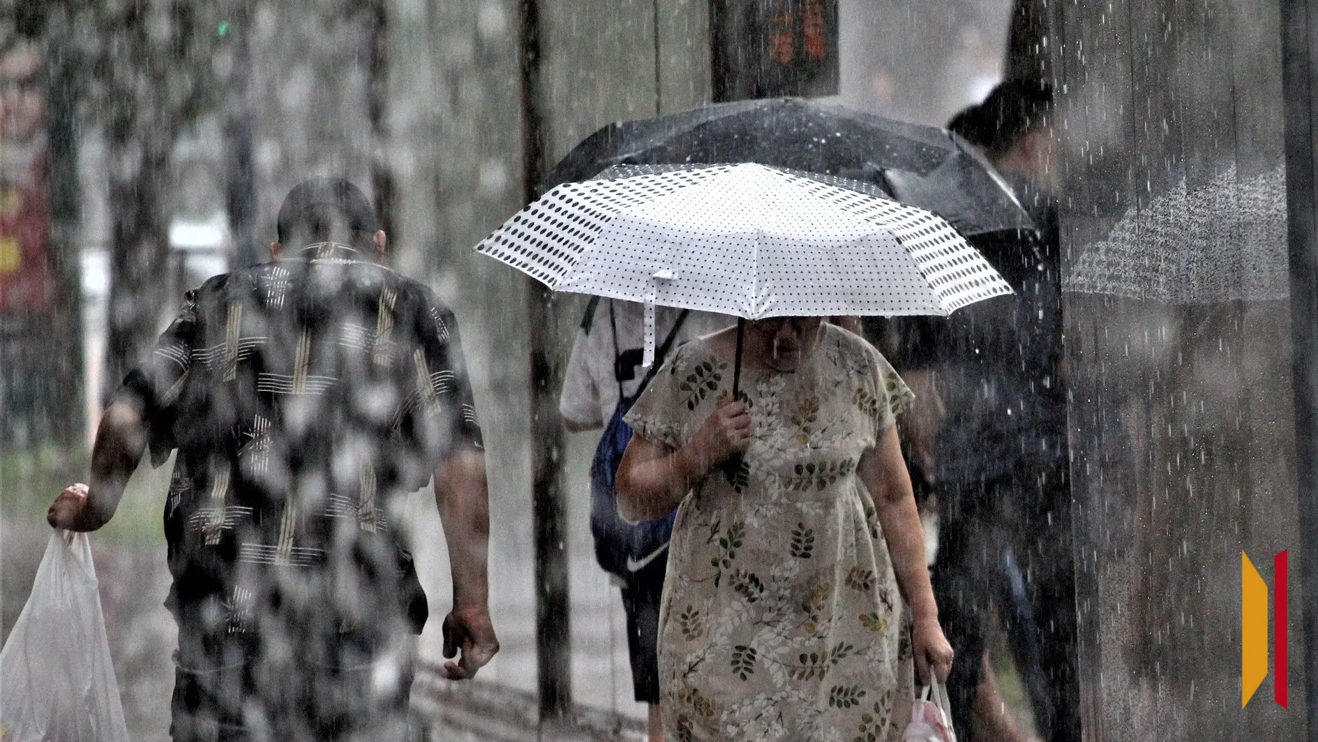 🌧 Непогода надвигается на Воронежскую область

Днем 29 июля местами по региону ожидаются ливни, гро