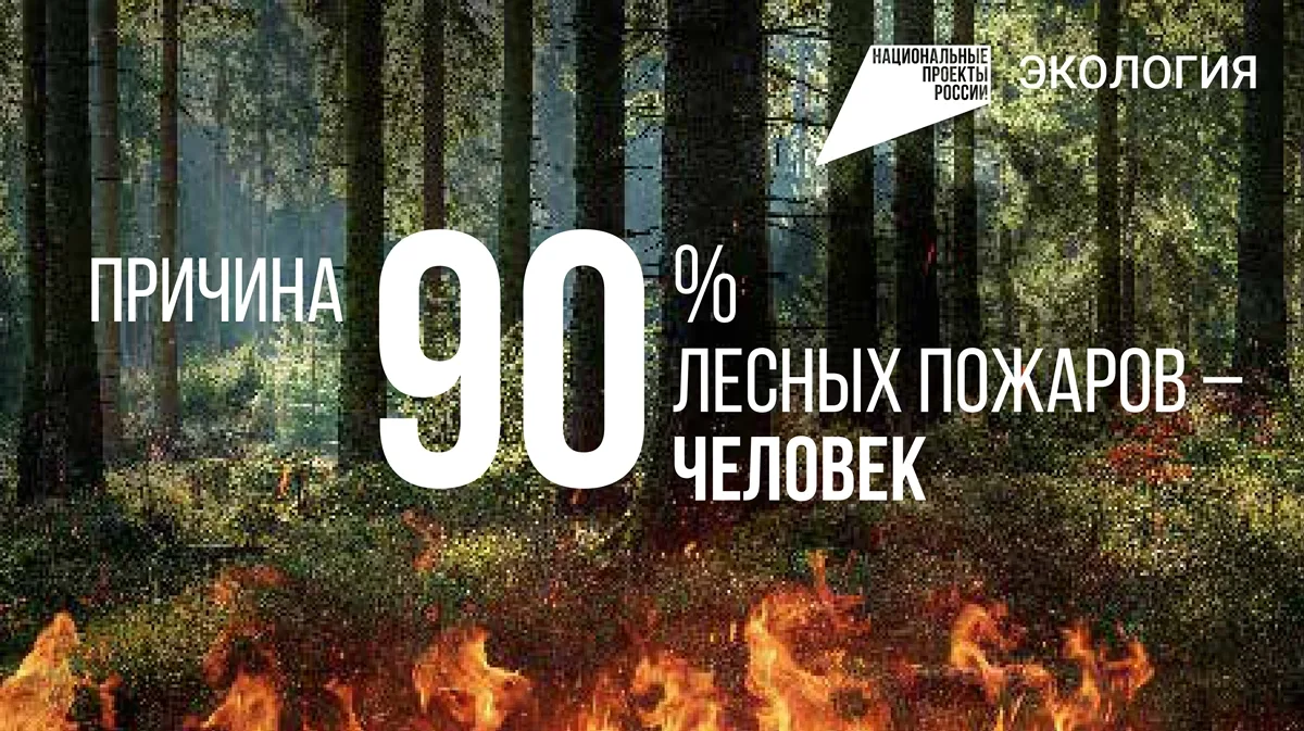 На опережение стихии: профилактика и борьба с лесными пожарами

На сегодня особый противопожарный се