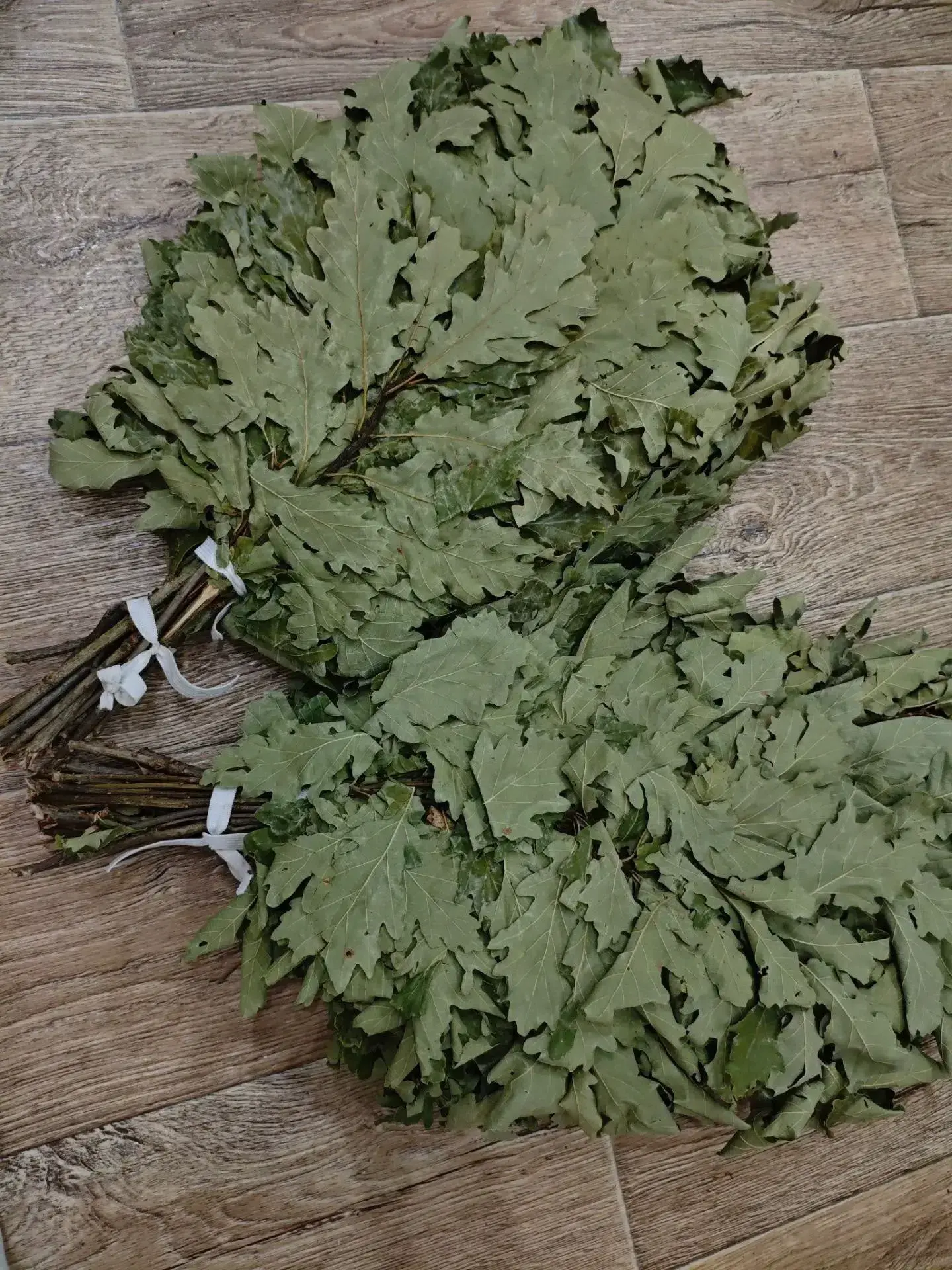 Веники для бани из дуба