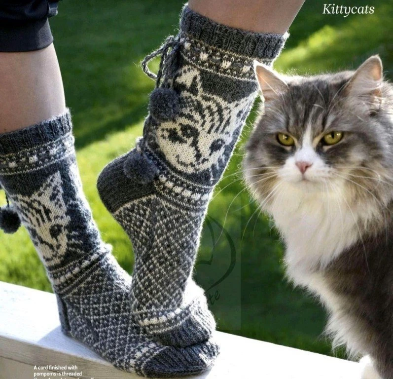 Носочки с котиками 🌷