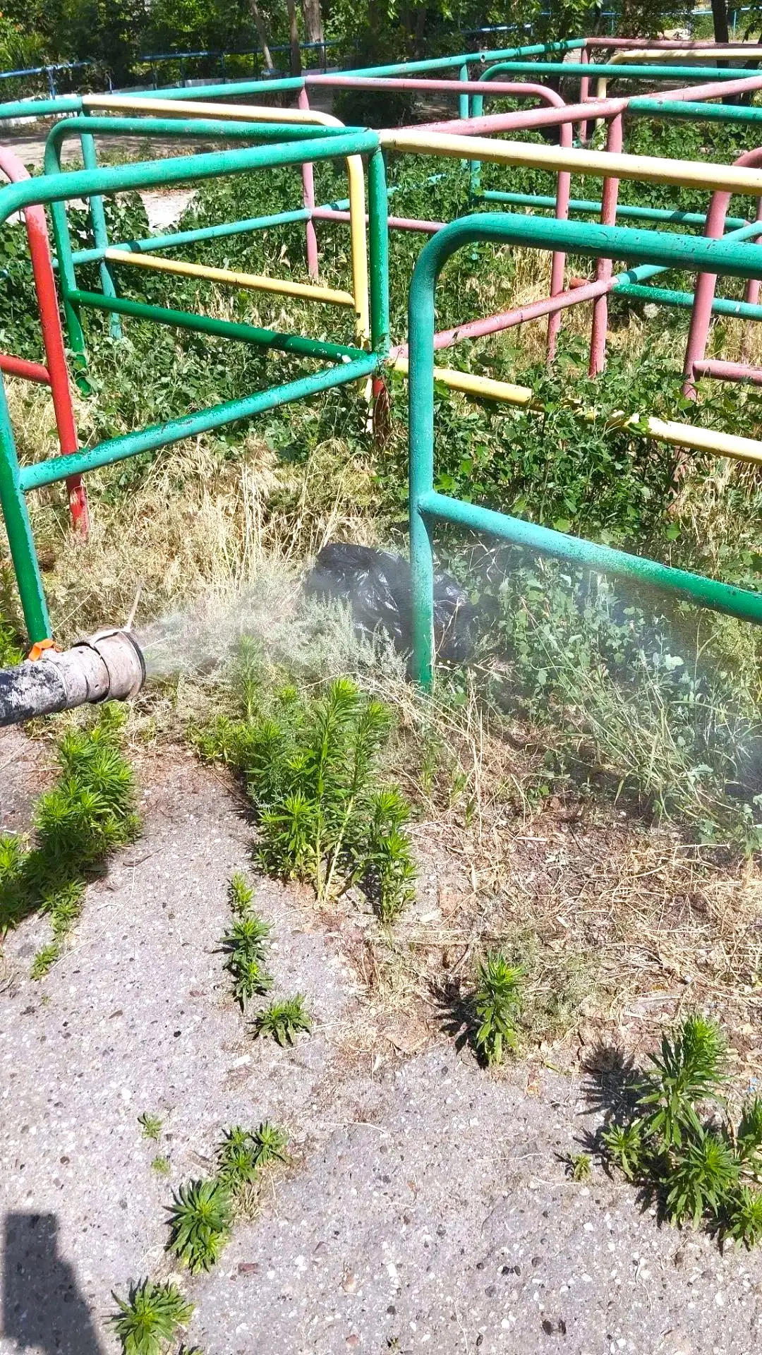К новости «🛡 Забота о каждом уголке вашего двора! 🌿»