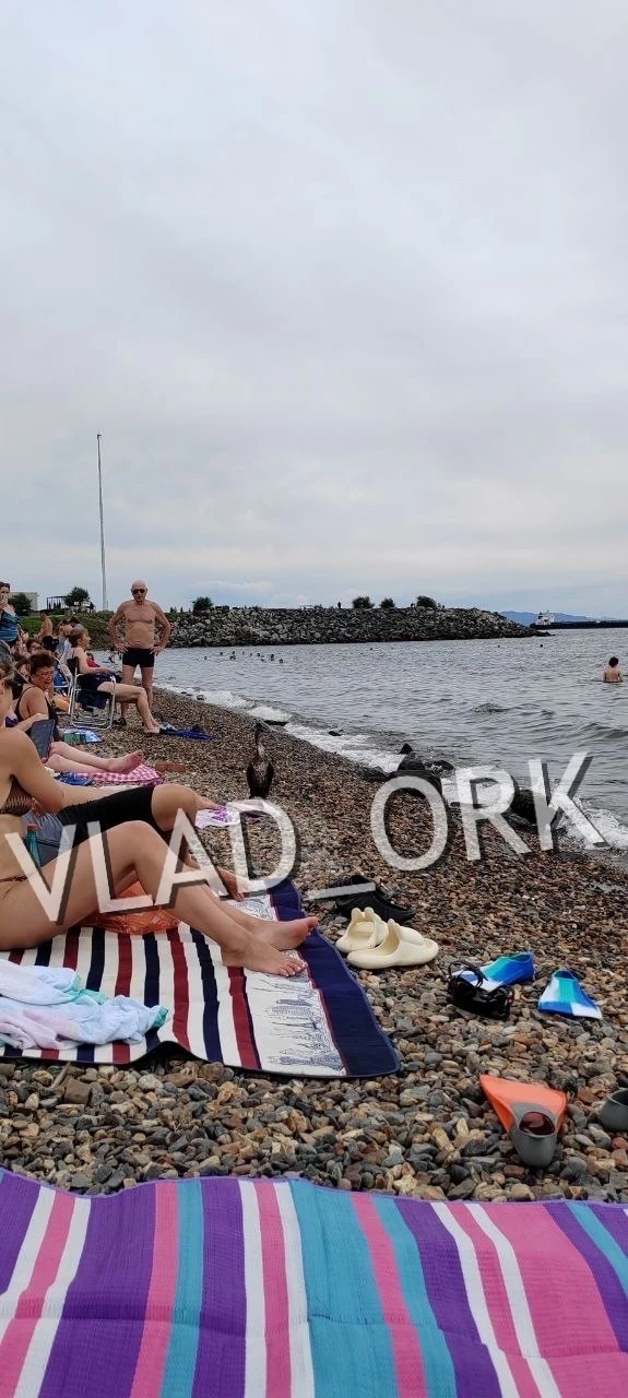 На пляже МГУ на берег вышел Баклан и прошел вдоль всего берега