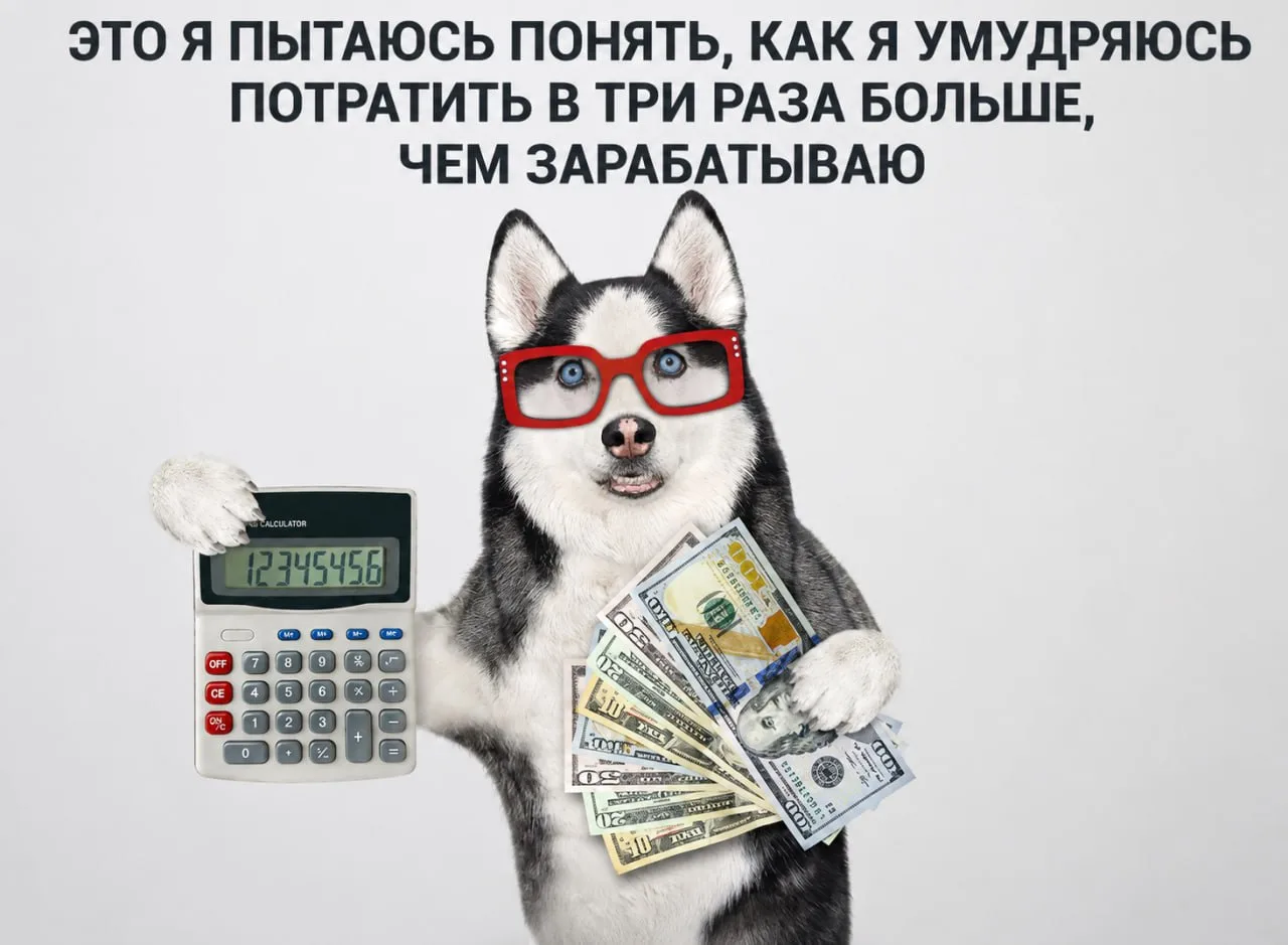Я не транжира. Я просто ускоряю денежный оборот👌💶