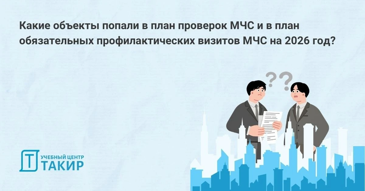 Какие объекты попали в план проверок МЧС и в план обязательных профилактических визитов МЧС на 2026 