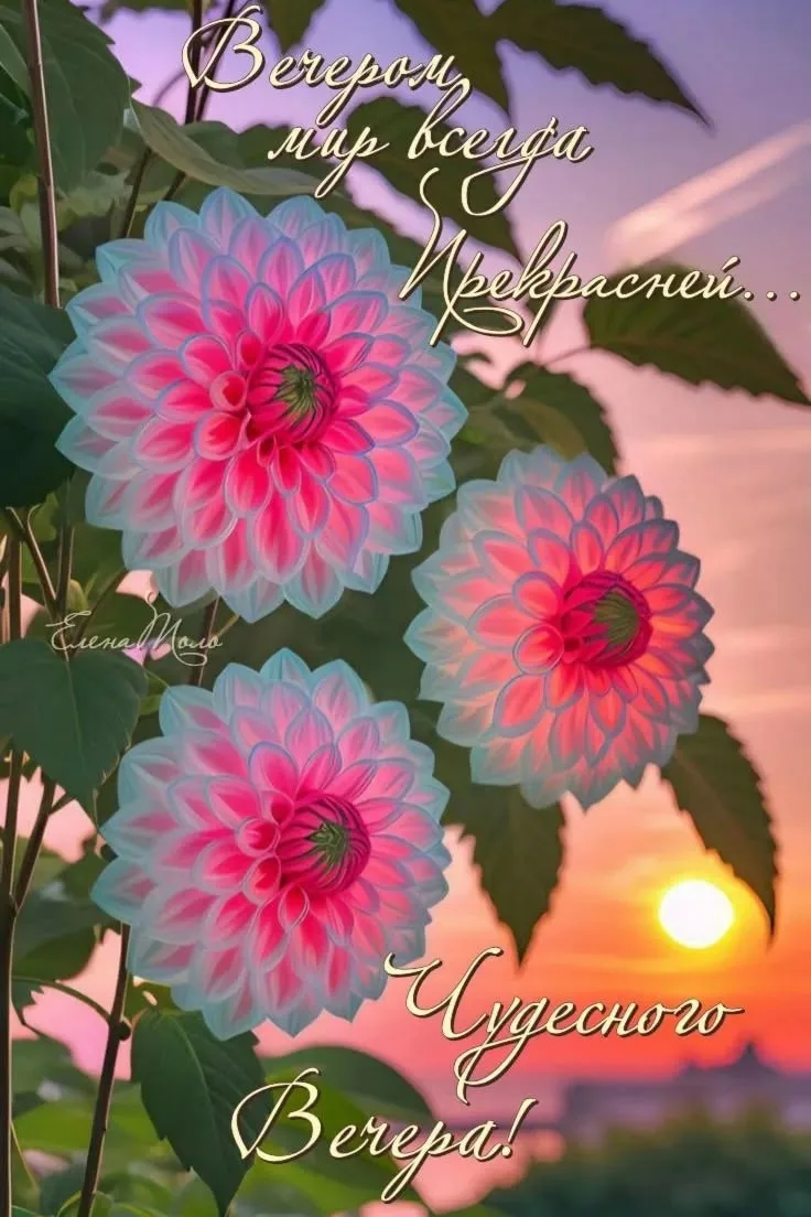Нежного и ласкового вечера! Тепла и уюта в доме!
