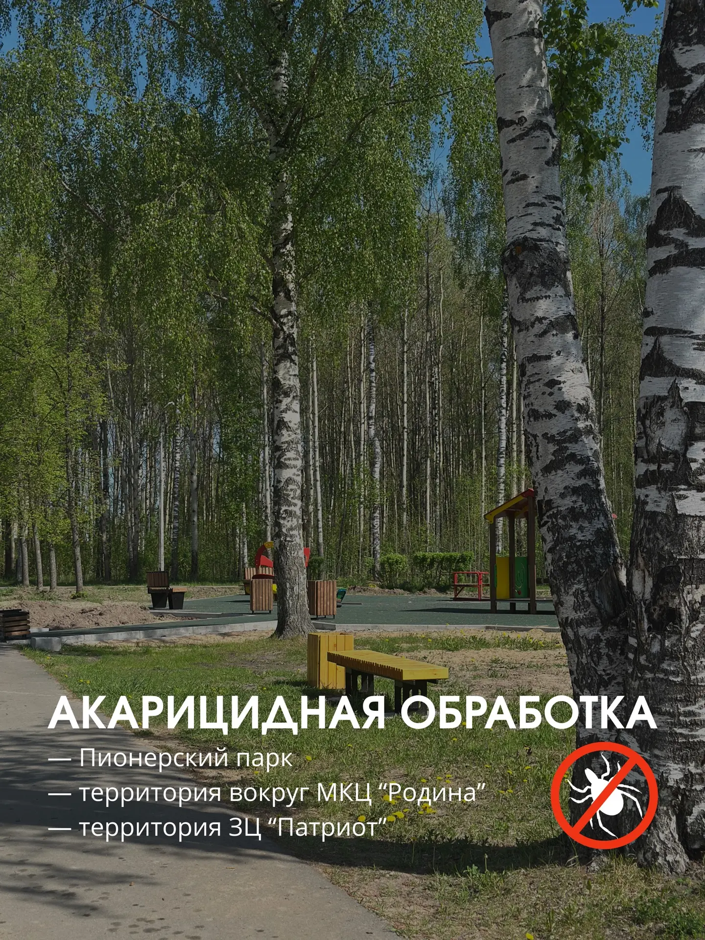 ⚠️ ВНИМАНИЕ! АКАРИЦИДНАЯ ОБРАБОТКА!
