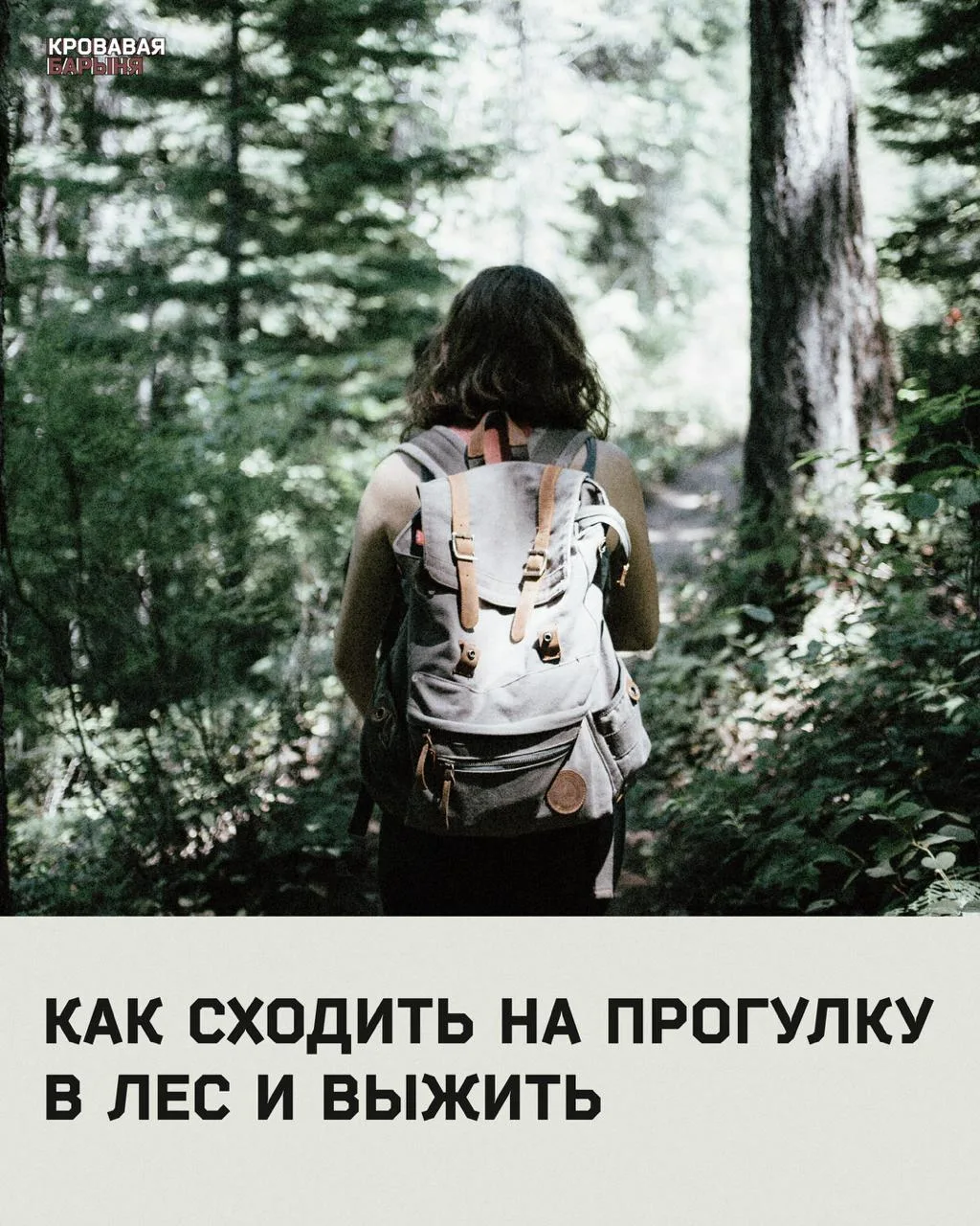 Любите погулять по лесу? А уверены, что знаете, как это правильно делать?