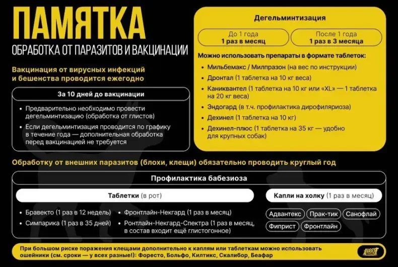 Мы подготовили для вас удобную памятку напоминалку по обработке от паразитов и вакцинации. Сохраняйт