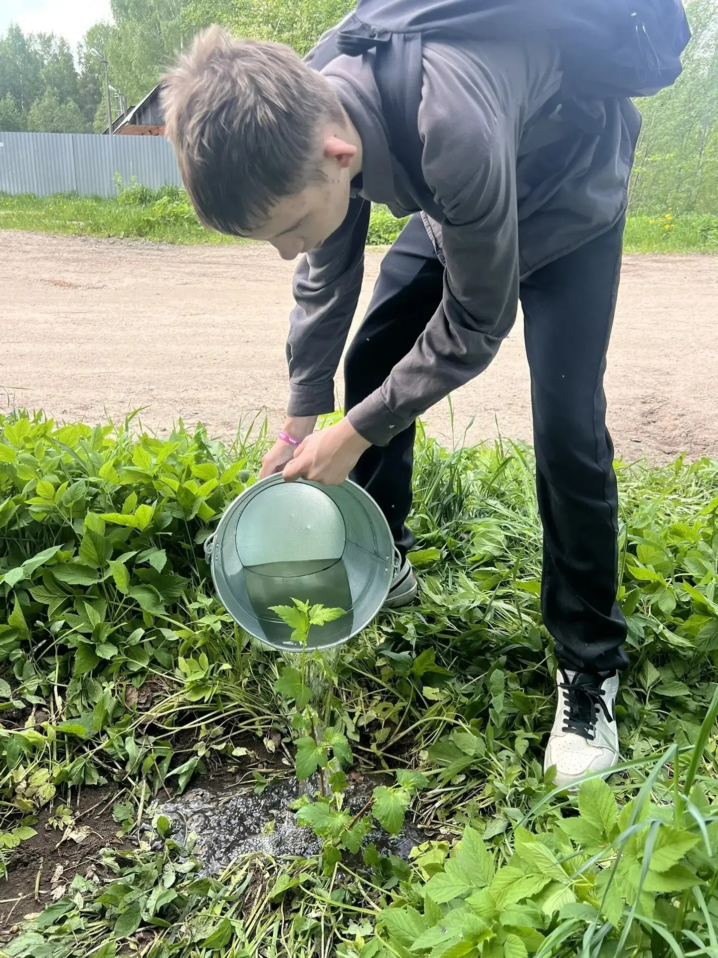 🌱 Акция «Сад памяти» проходит на Вологодчине