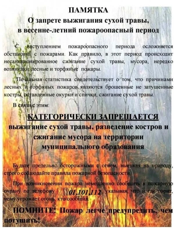 Памятка «О запрете выжигания сухой травы в весенне-летний пожароопасный период»

#АдминистрацияДон