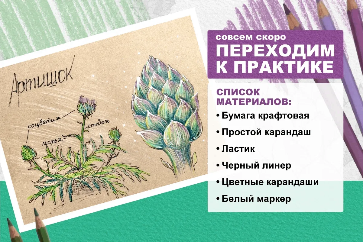 Изображение 1 к публикации «Канал Два-ТриТона»