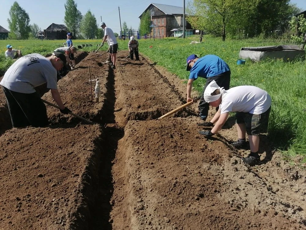 В НАШЕЙ ШКОЛЕ ЗАВЕРШИЛИСЬ ПОСАДОЧНЫЕ РАБОТЫ