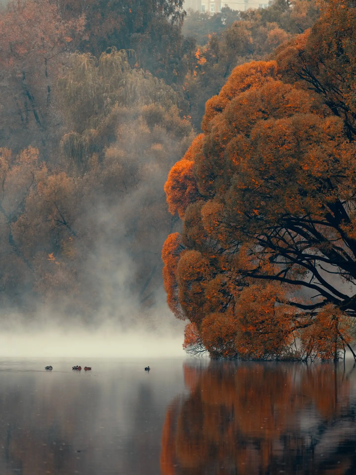 Осень на ВДНХ🍁
