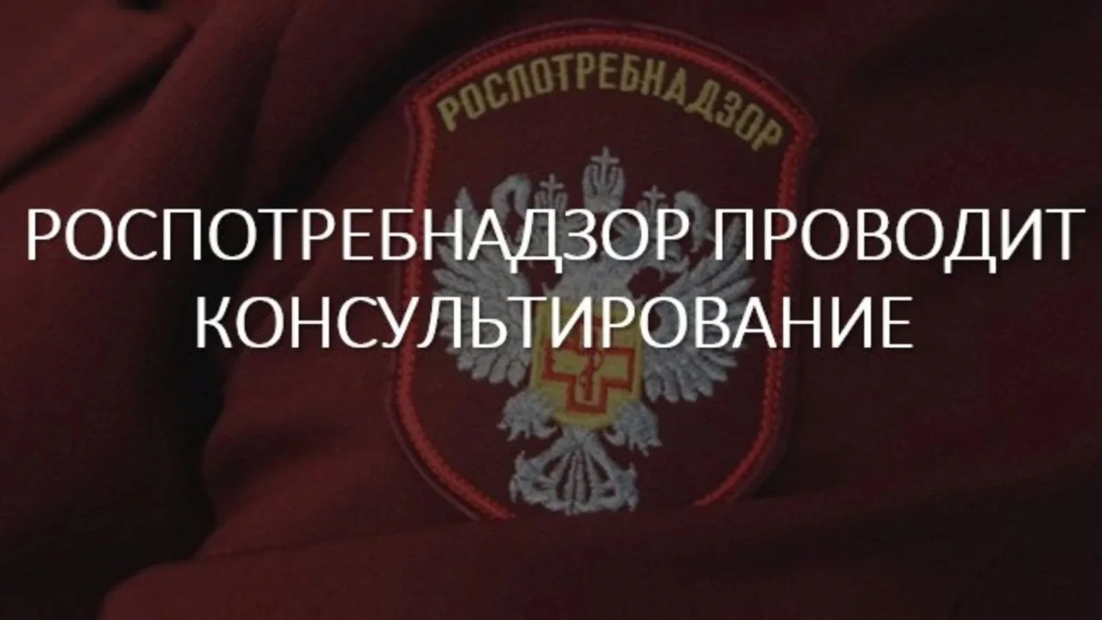 С 10 августа по 21 августа 2026 года