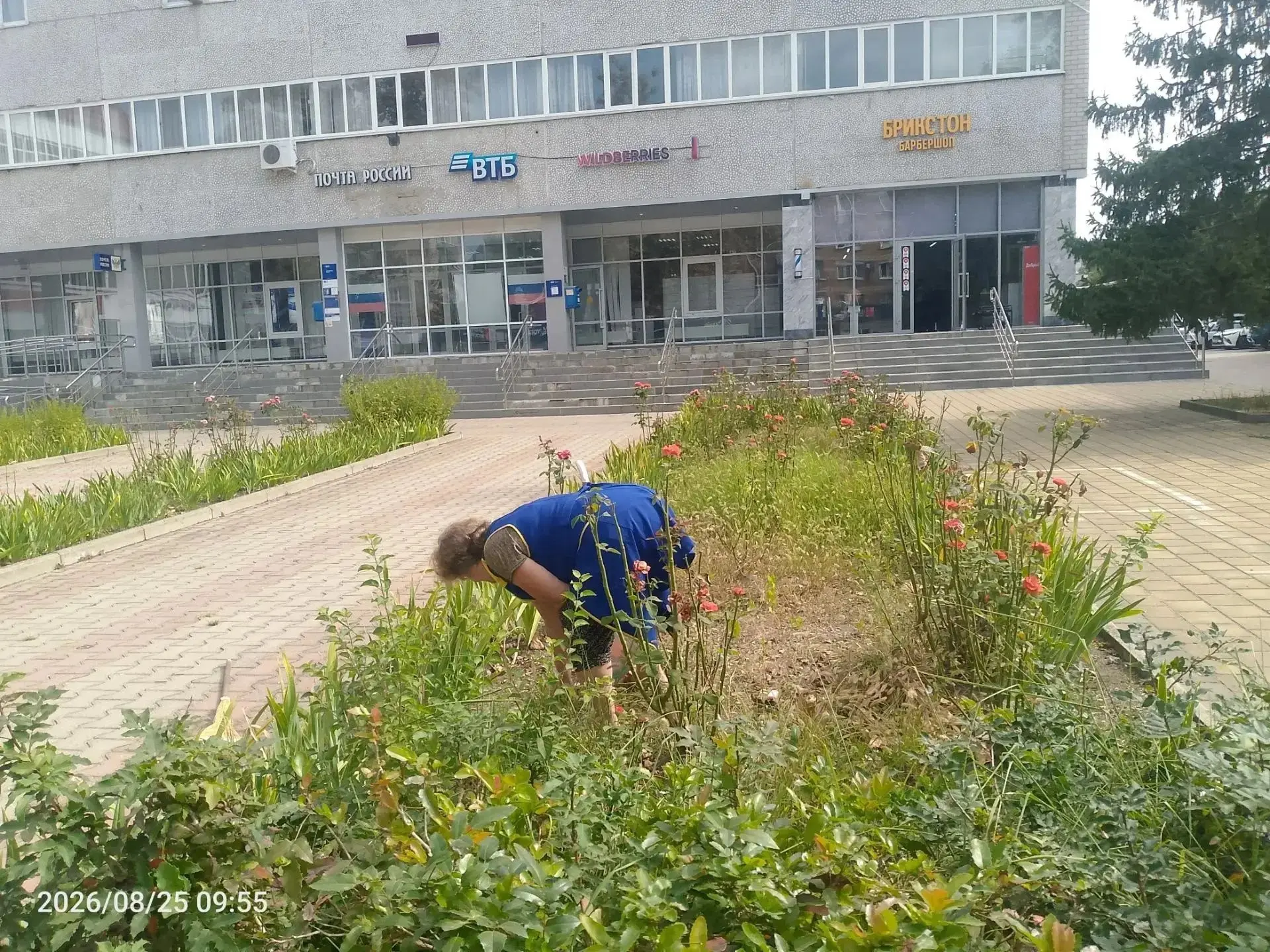 В преддверии Дня города Белореченск меняется к лучшему: каждый вклад важен, и благодаря...