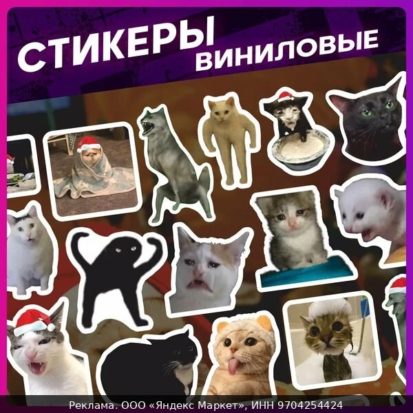 🛍Альбом наклеек буква-ленд "Мемные Котики", 250 штук, 6 фонов
