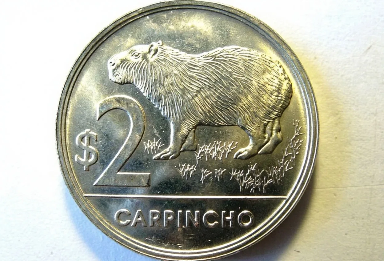 🎉 Уругвай отдал дань уважения самой обаятельной грызунье планеты! 🎉