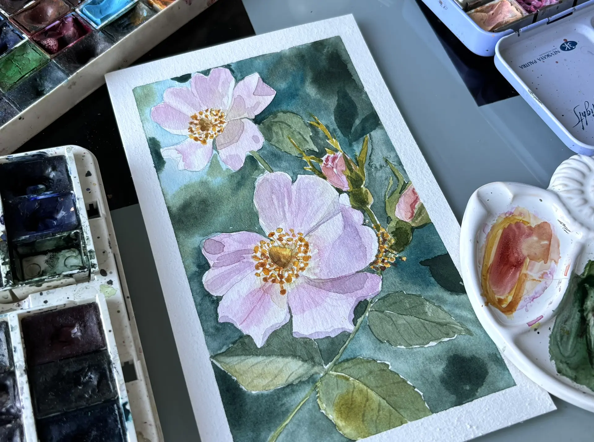 🌿 Шиповник — это лето, которое не старается быть идеальным. 
Лёгкие лепестки, тонкие ветви, немного