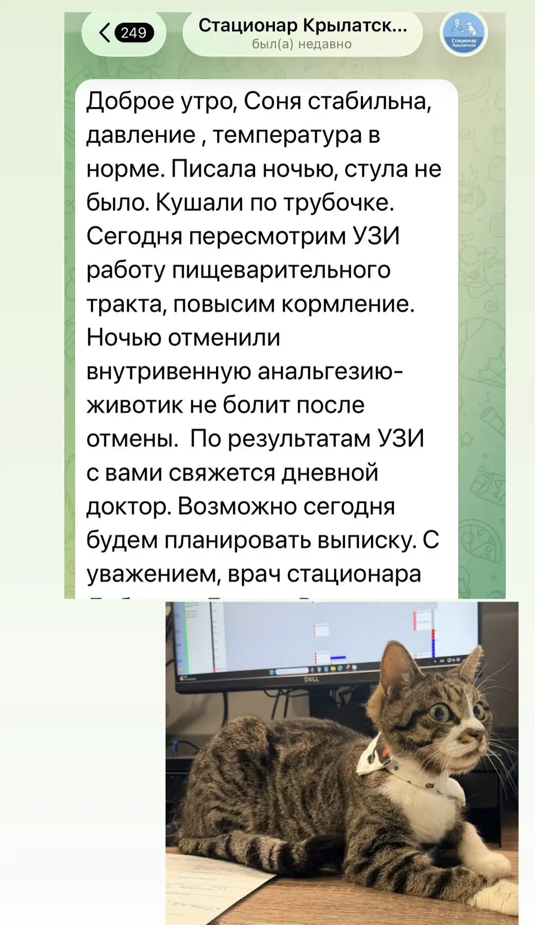 Идёт на поправку🙏