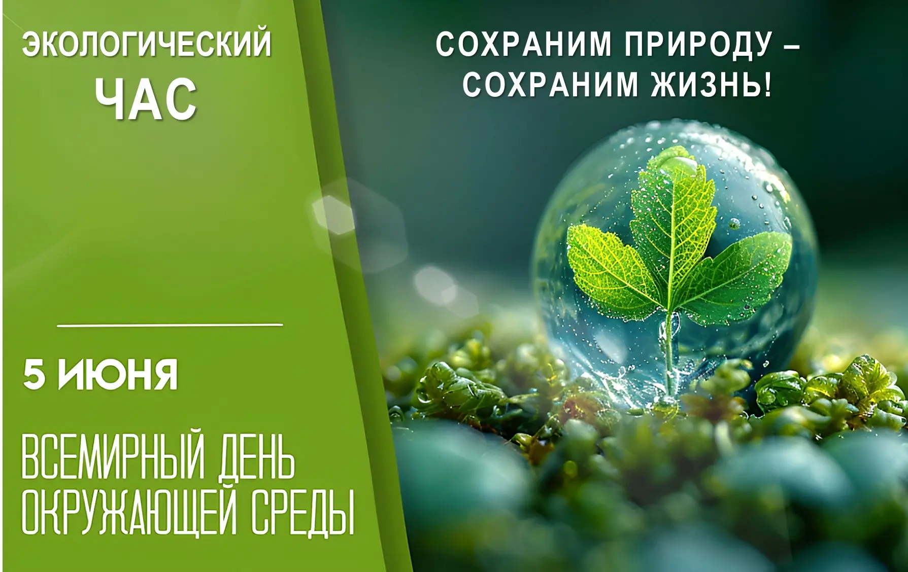 Экологический час «Сохраним природу – сохраним жизнь!»