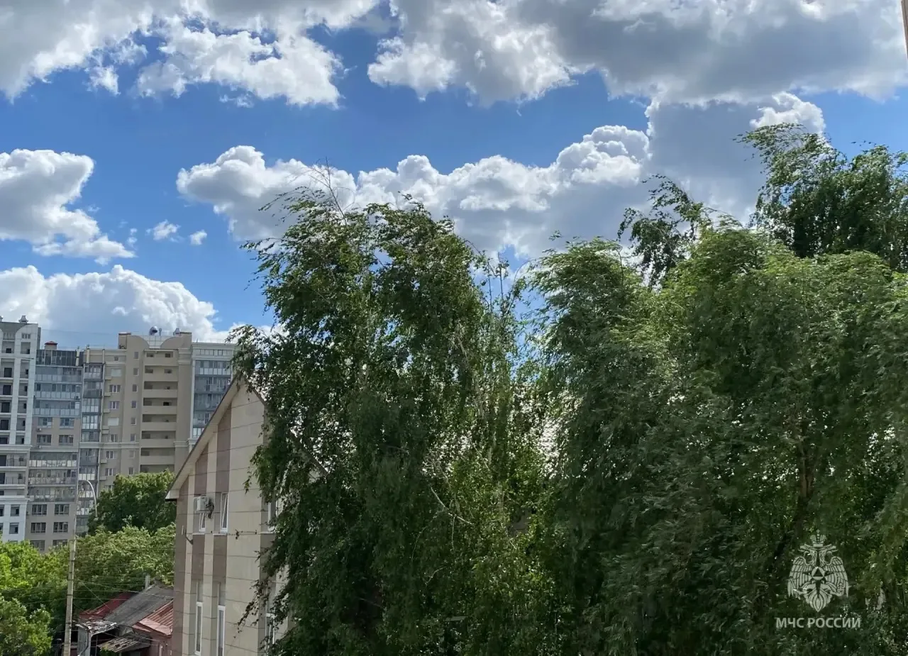 ❗️❗️Внимание! Порывы ветра до 20 м/с ожидаются в понедельник 

⛅️По данным белгородских синоптиков, 