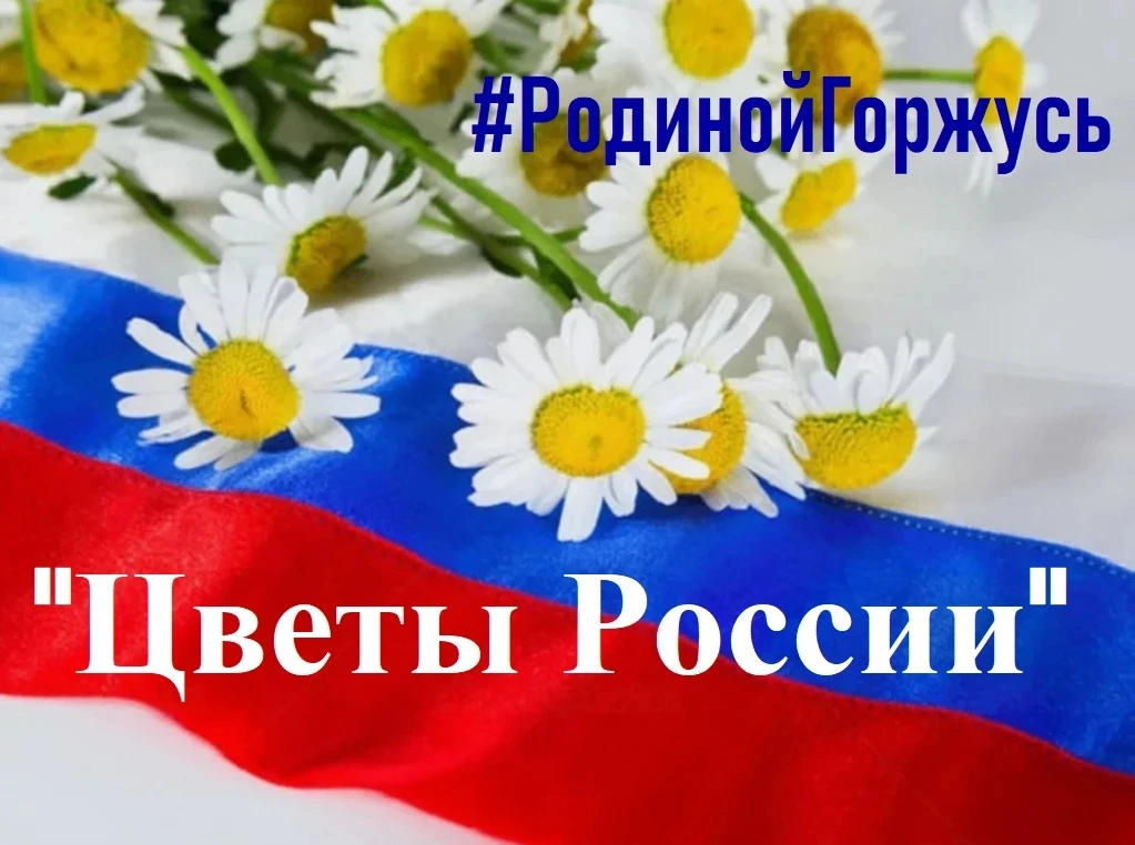 🇷🇺День России — это не просто дата в календаре, а прекрасный повод вспомнить о том, что наша Родин