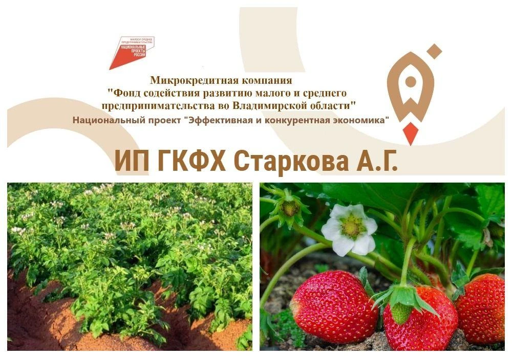 Финансируем бизнес в сфере сельского хозяйства.