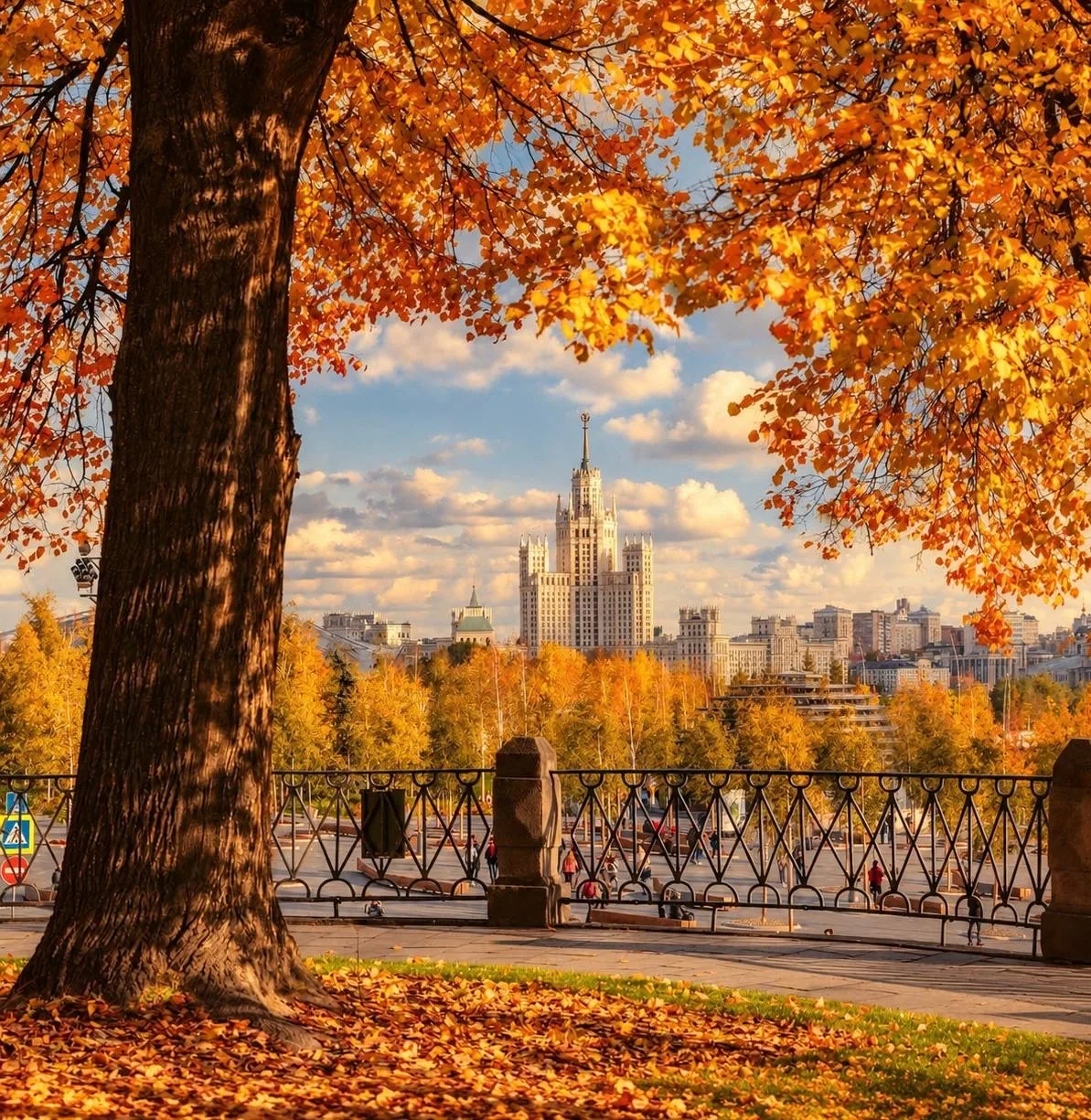 🌡 Аномальное тепло придёт в Москву в пятницу – синоптики обещают до +18°C
