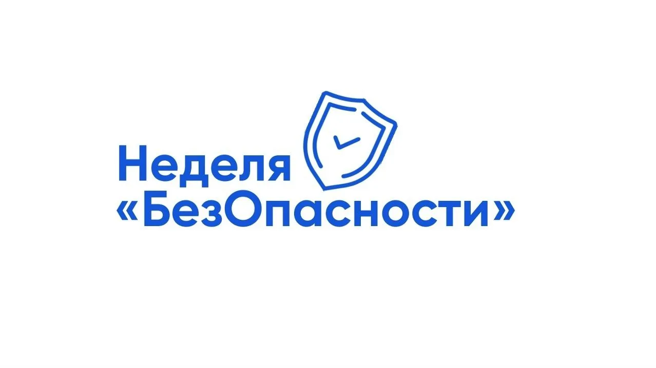 Всероссийская просветительская акция «Неделя БезОпасности»