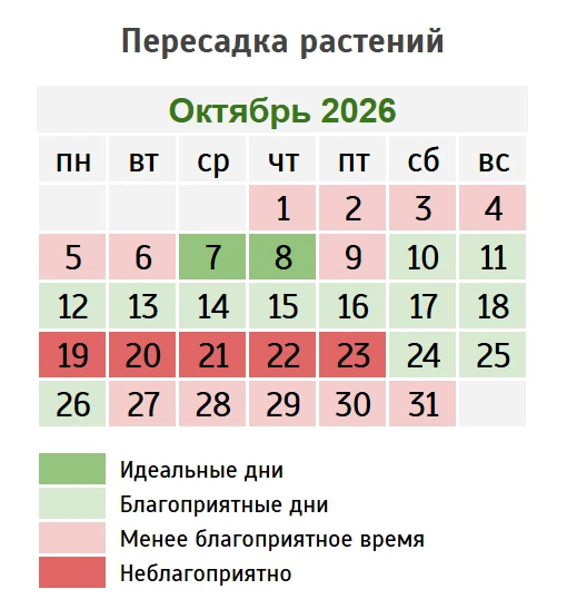 🪴 ПЕРЕСАДКА РАСТЕНИЙ ПО ЛУНЕ НА ОКТЯБРЬ 2026 г.