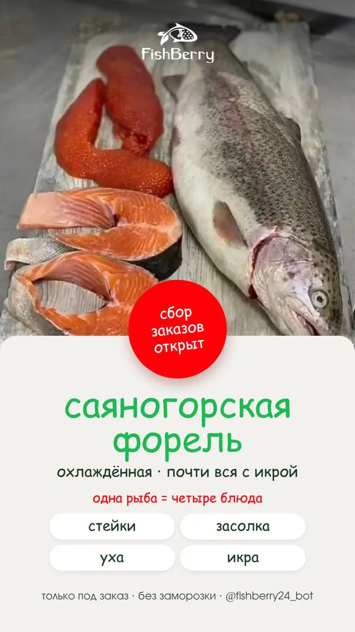 🐟 САЯНОГОРСКАЯ ФОРЕЛЬ — СБОР ЗАКАЗОВ ОТКРЫТ! 💚
