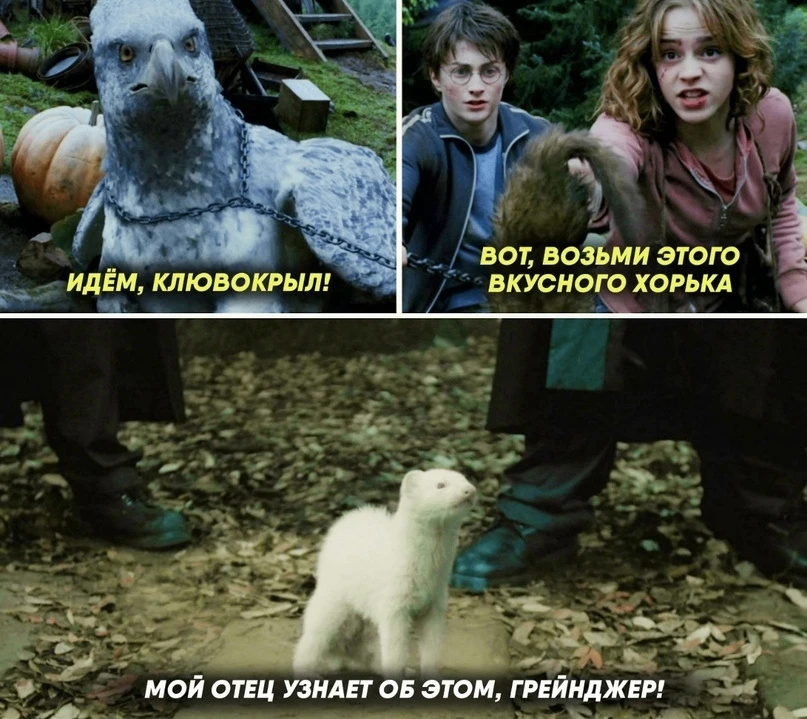 Драко Малфой Том Фелтон