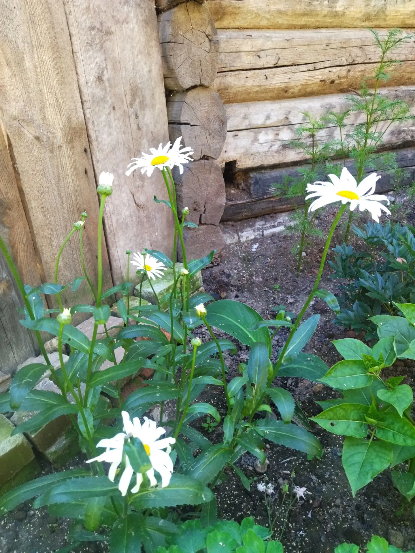 Прекрасное рядом🌸