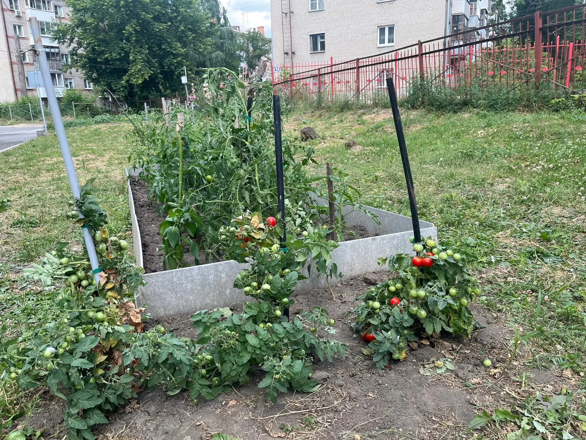 🌸Территория 160-й наша отдельная гордость - школьный двор утопает в зелени. Стройные берёзы, яркие 