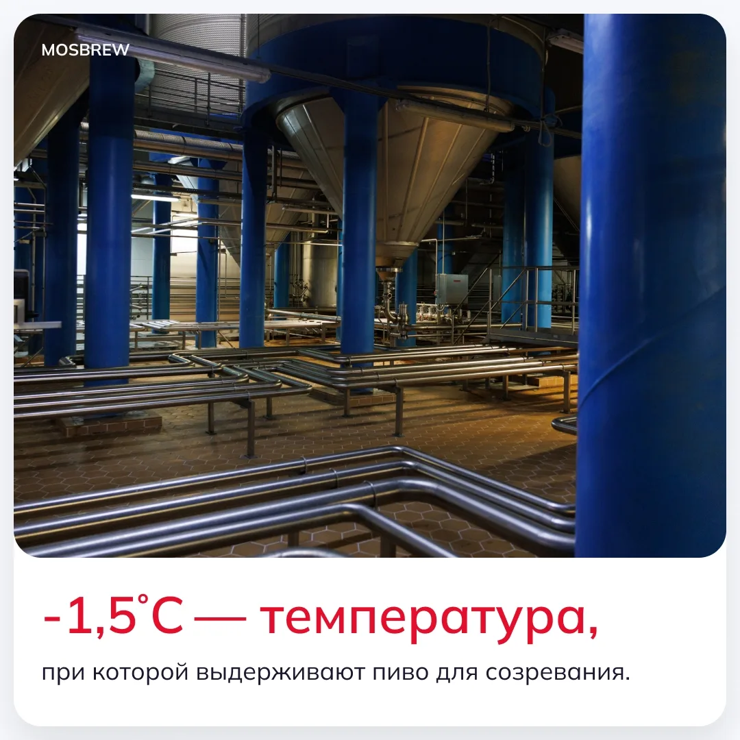 Те, кто был у нас на экскурсиях, знают: на заводе есть цех, где всегда холодно. И это не потому, что