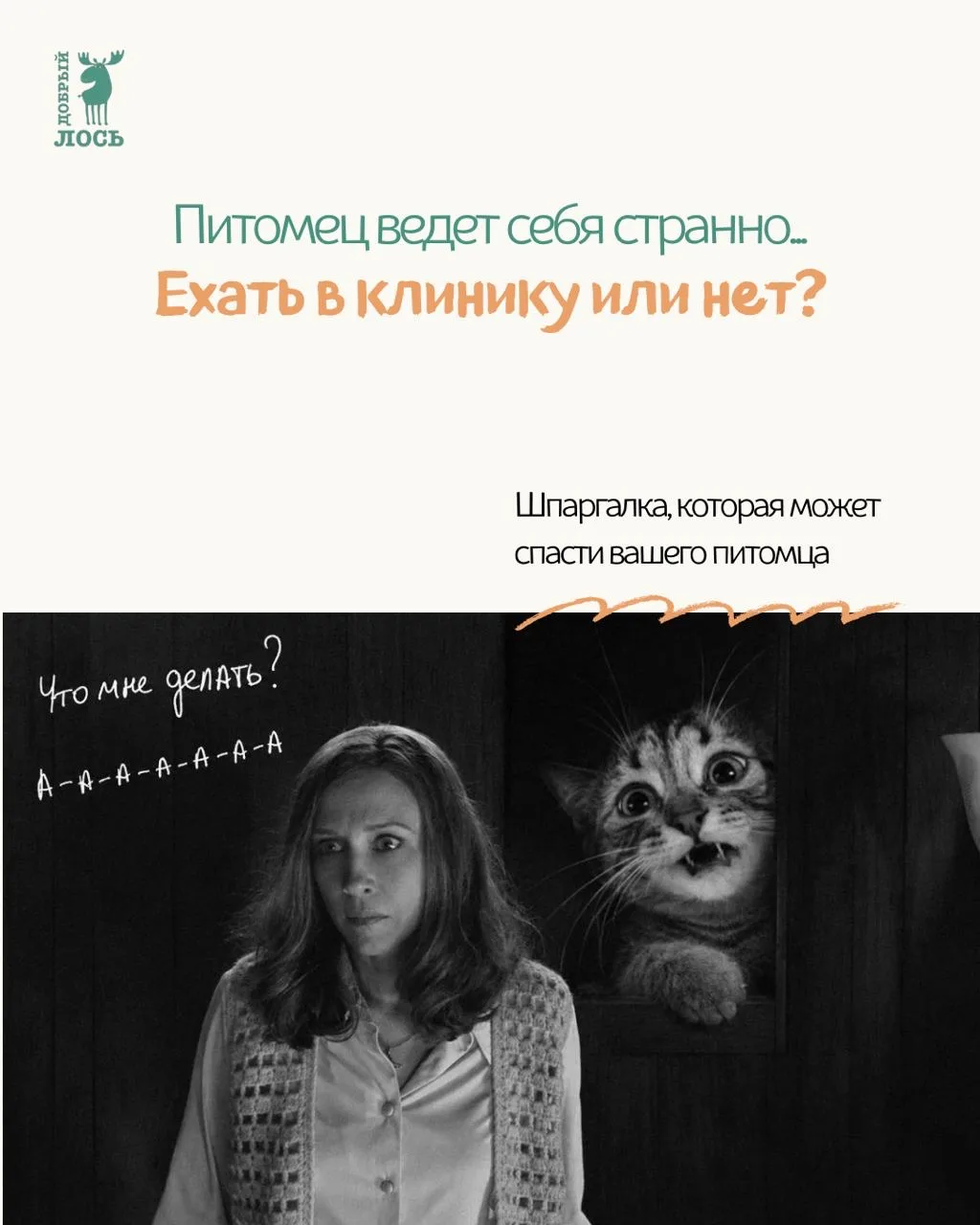 Листайте карусель, чтобы знать: