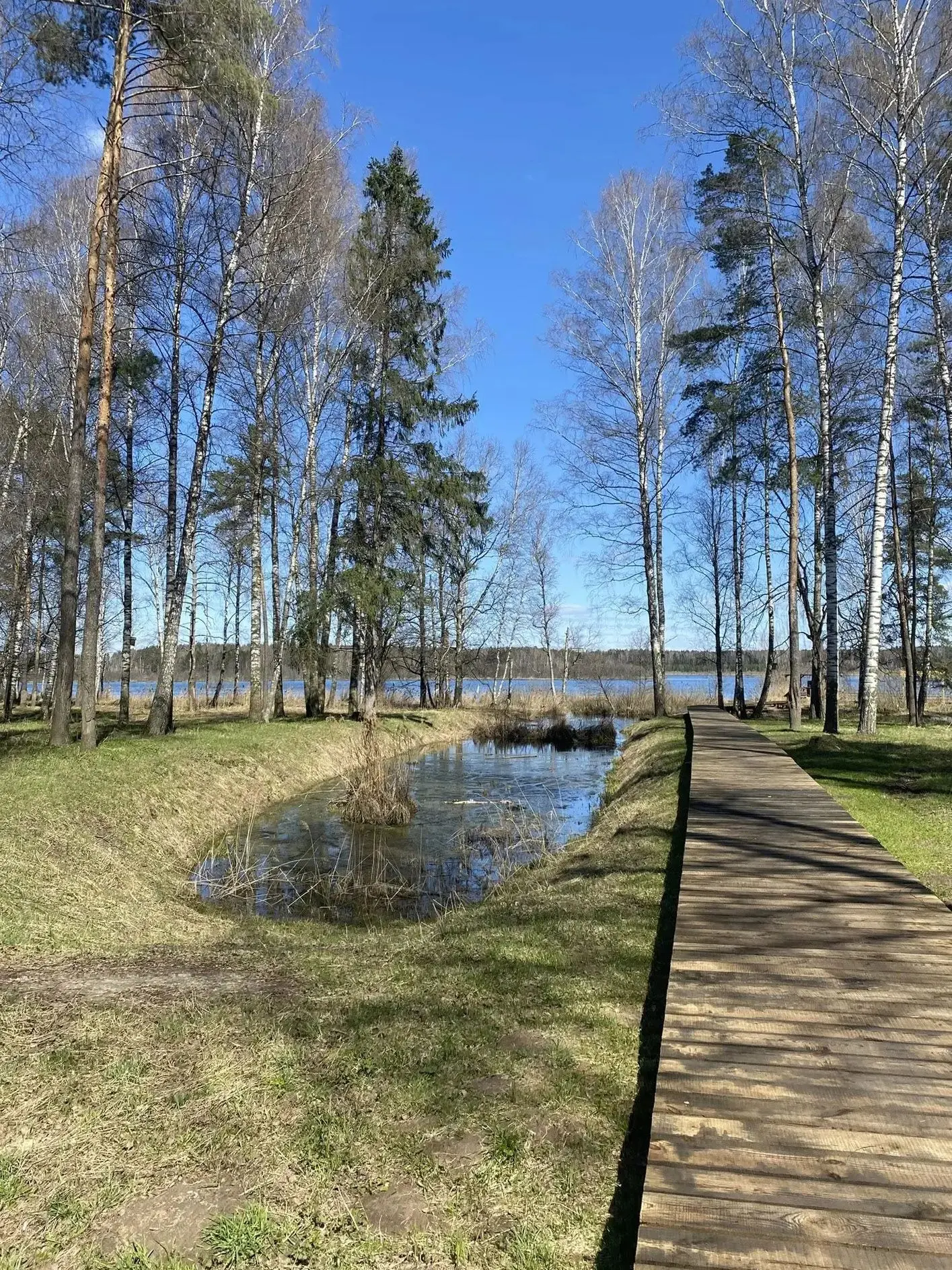 Лосиный остров  🌳🌲 Изучая окружающий мир, второклассники захотели посетить национальный парк «Лосины