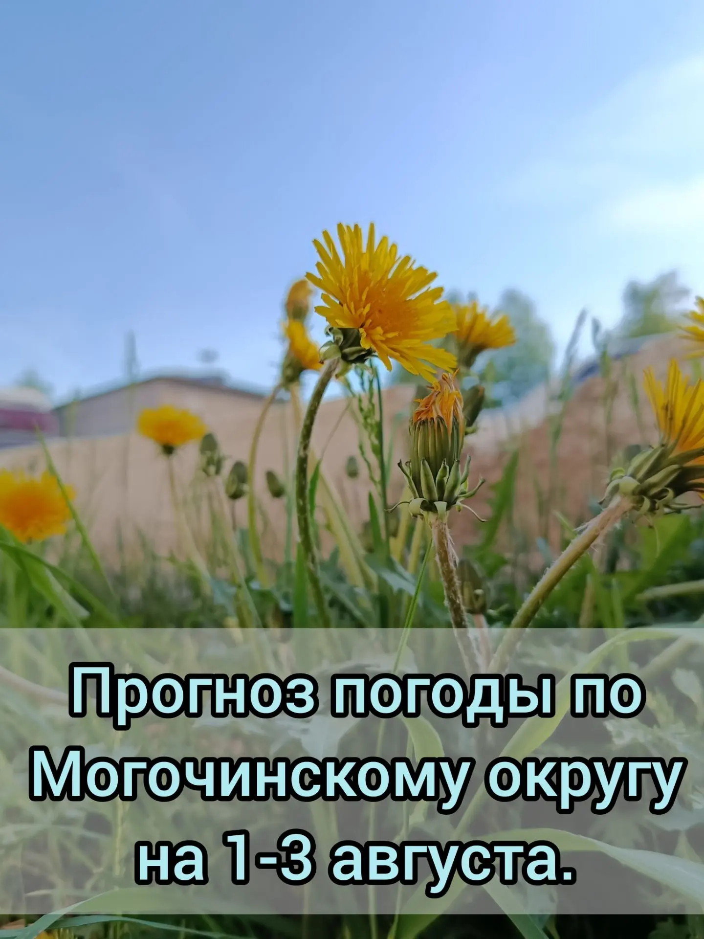 🌥️Прогноз погоды по Могочинскому округу на 1 – 3 августа