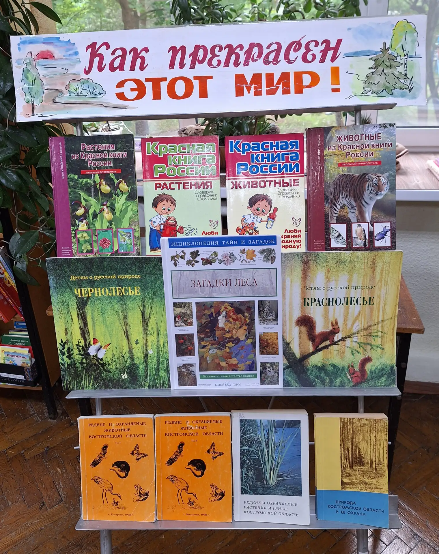 Экологическое путешествие «По тропинкам родного края»

Завершается июнь. Заканчиваются смены в пришк