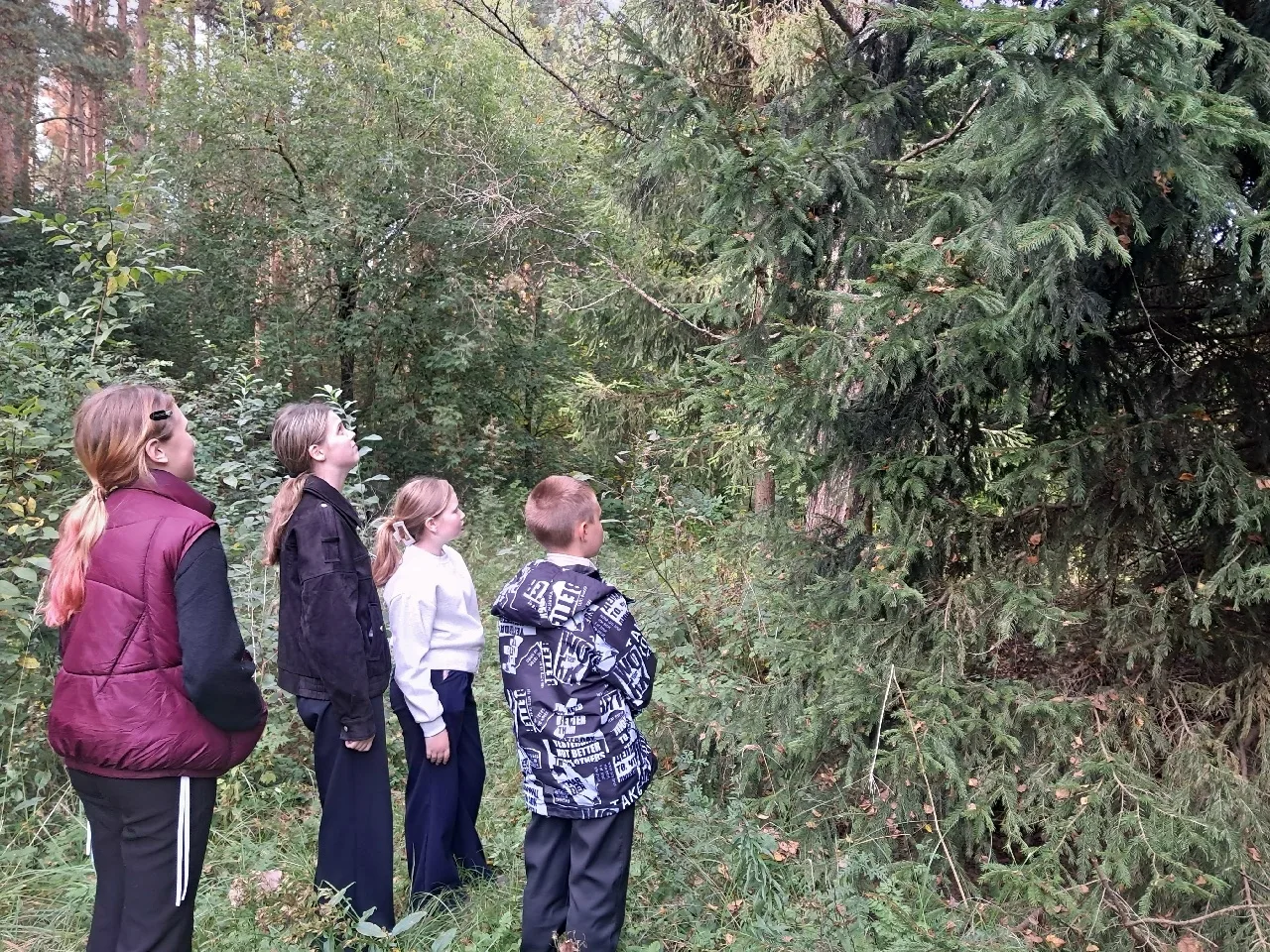 ❗Команда Внуки Берендея🌲 принимает участие в проекте "Юннатская страна", в номинации Л...