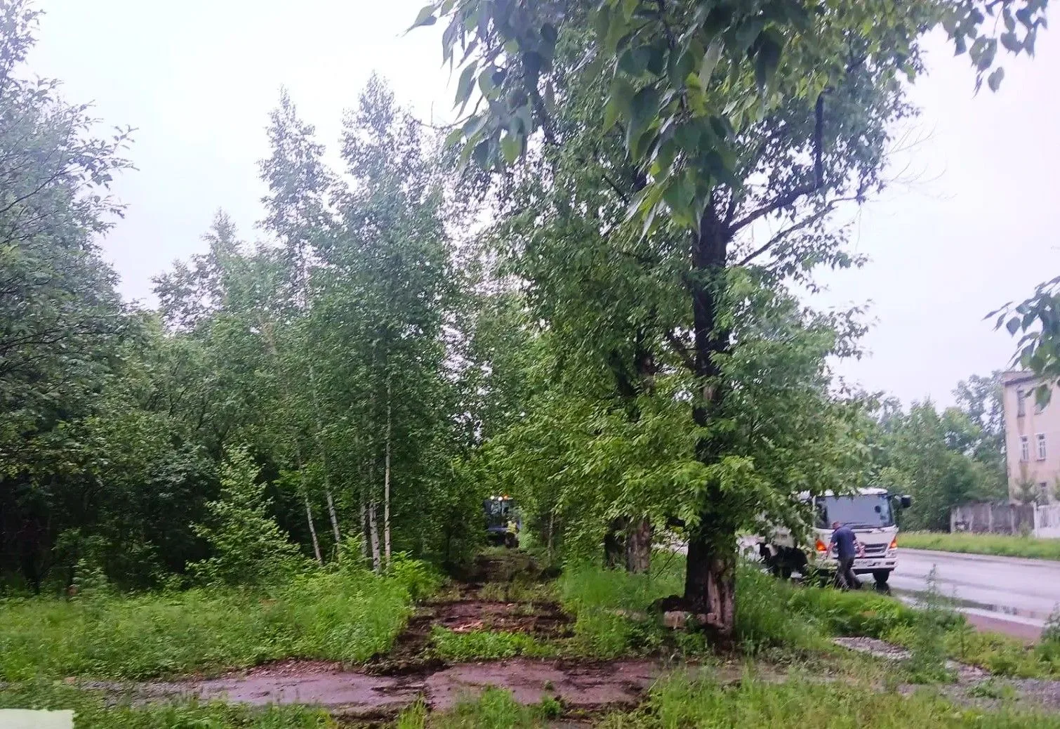 ➡️ В Биробиджане обустраивают тротуар в микрорайоне Сопка

Накануне начались работы по благоустройст