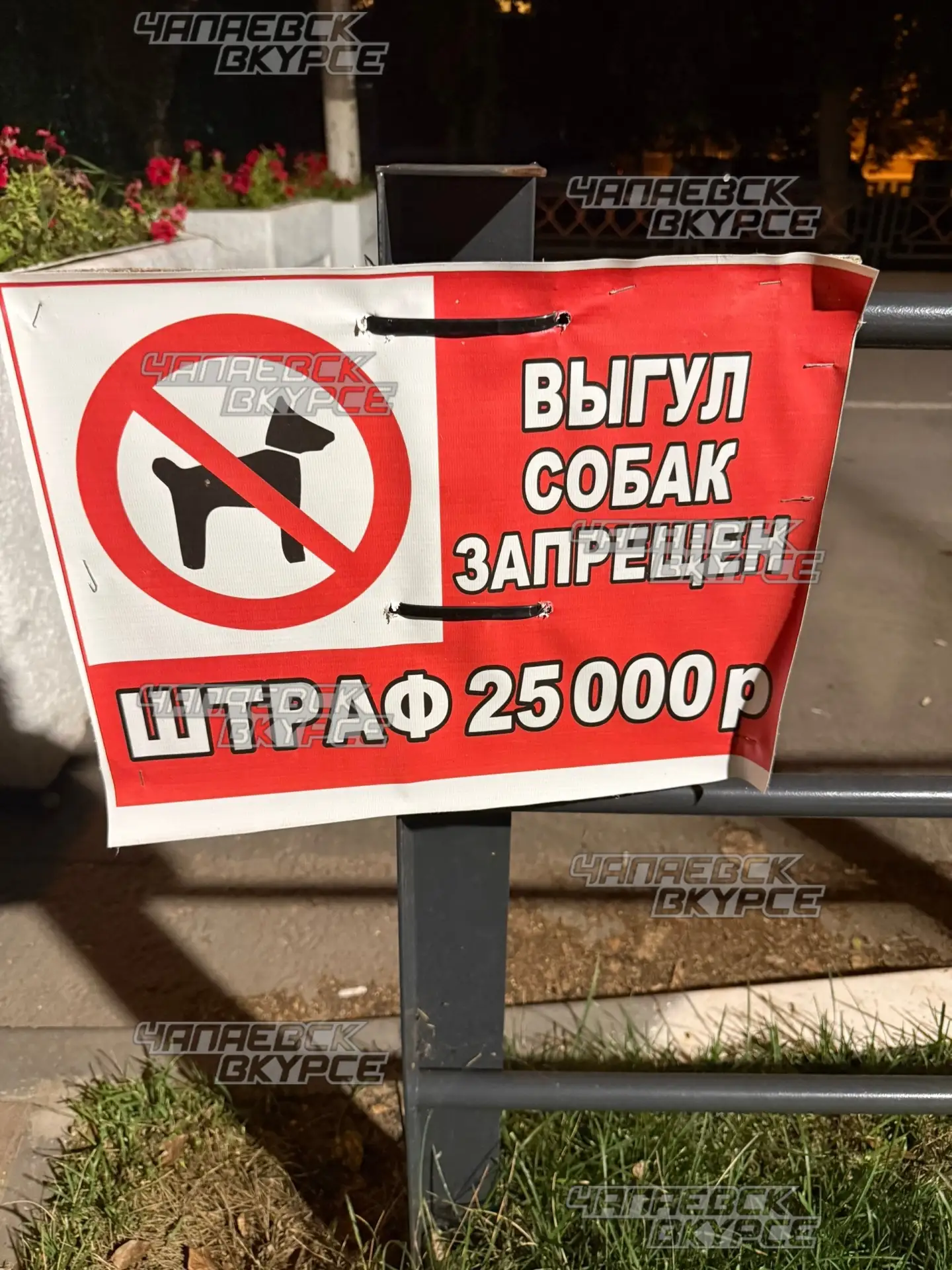 Уважаемые соседи и владельцы собак!На нашей пешеходной аллее по адресу ул. Запорожская участились сл