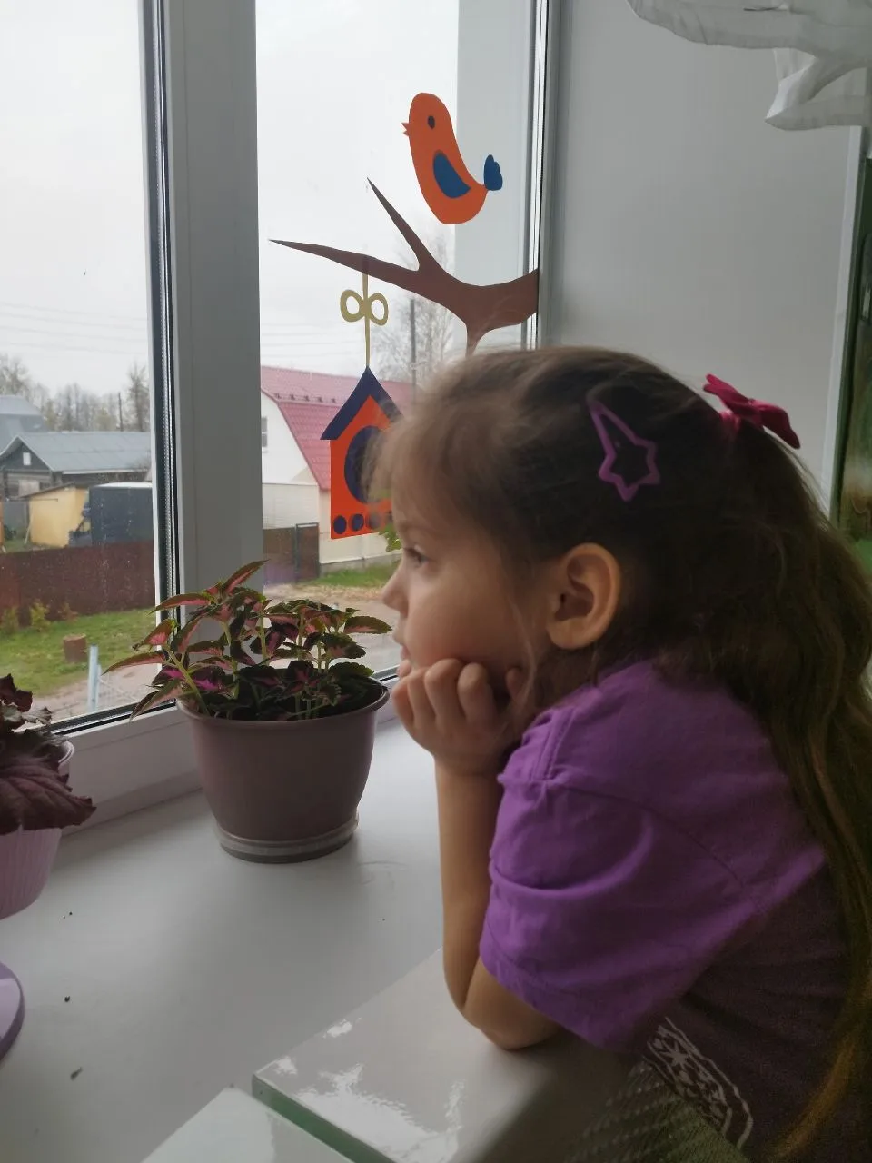 🌱 Весна в этом году выдалась затяжной. Она ни как не хочет вступить в свои права, на улице то дождь