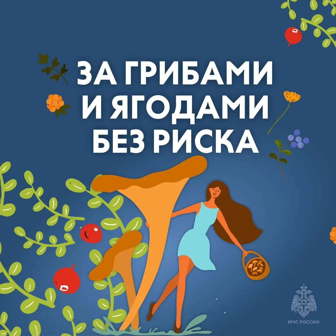 👣Не теряйся! 

Соблюдение этих несложных рекомендаций поможет тебе, совершая прогулку в лес не попа